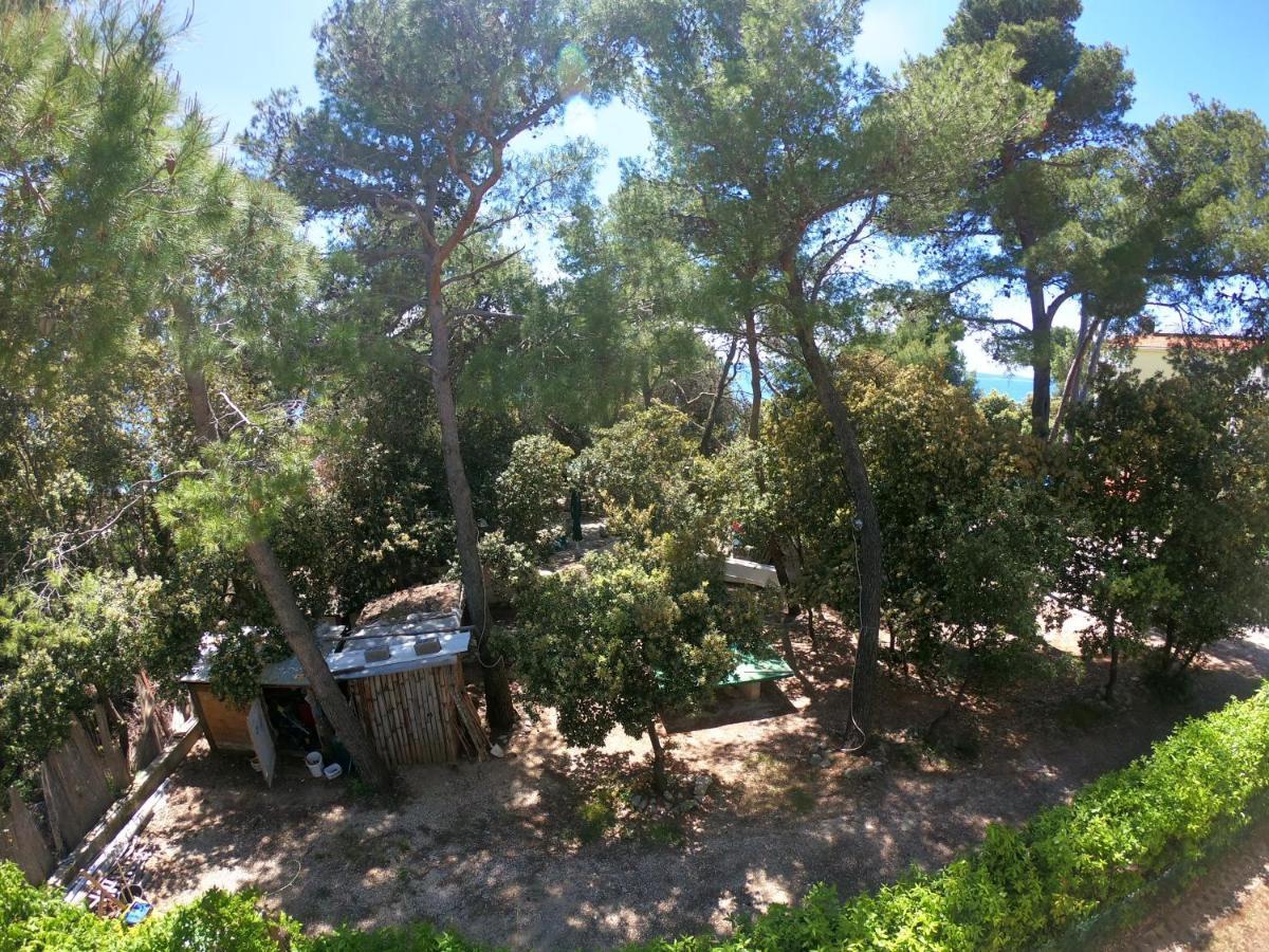 פטרצ'אנה Apartments Stanko מראה חיצוני תמונה